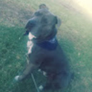 Meet your Posher, Titus